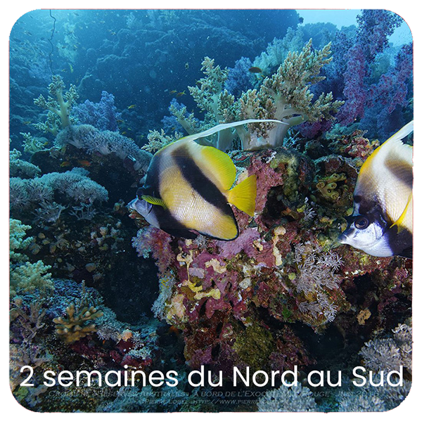 2 semaines nord sud