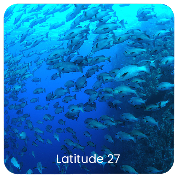 latitude 27