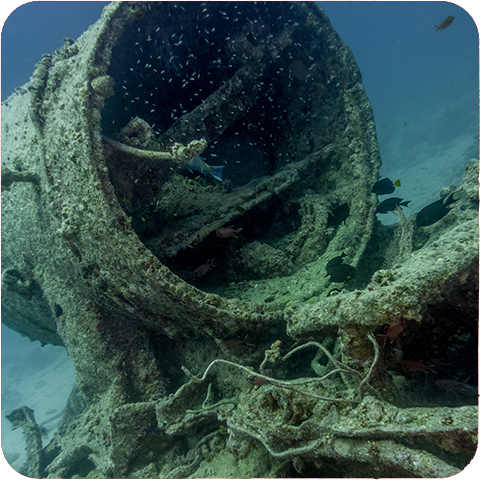 Thistlegorm
